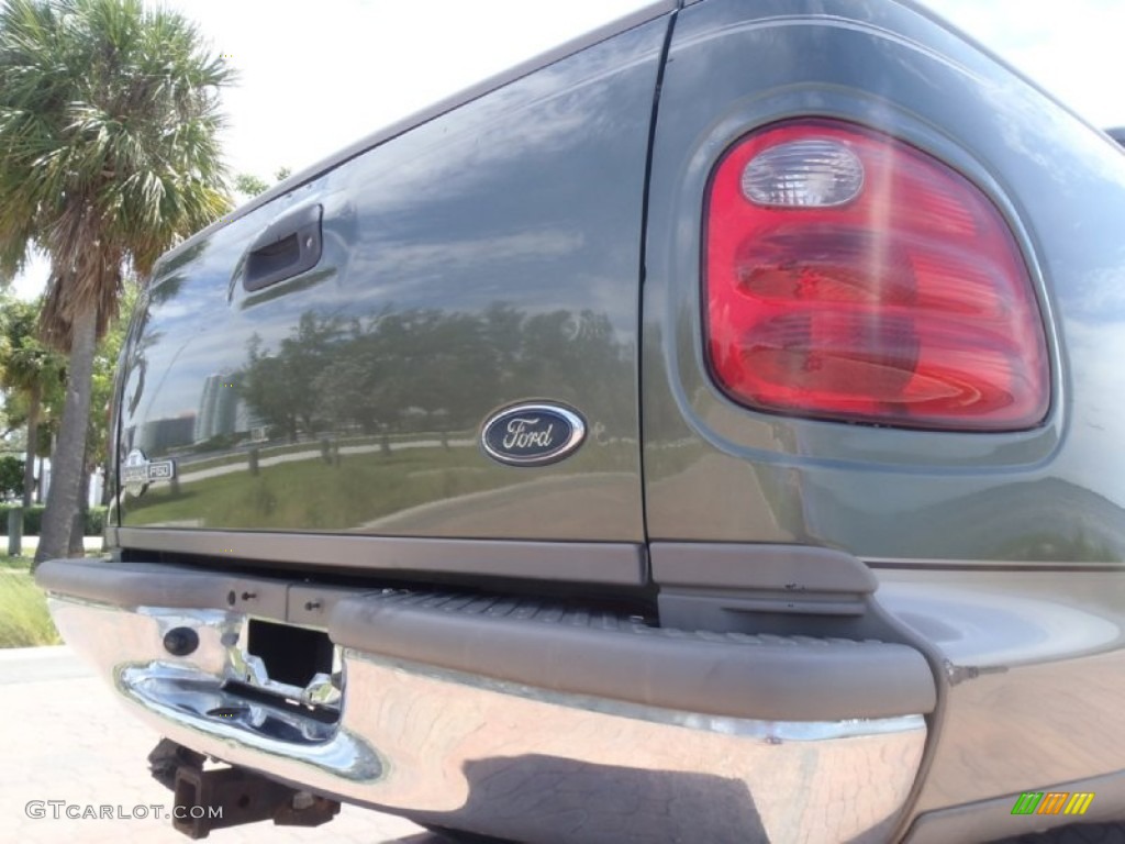 2002 F150 King Ranch SuperCrew 4x4 - Estate Green Metallic / Castano Brown Leather photo #22