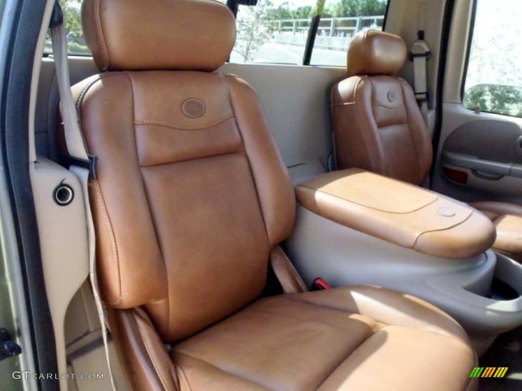 Castano Brown Leather Interior 2002 Ford F150 King Ranch SuperCrew 4x4 Photo #68364400