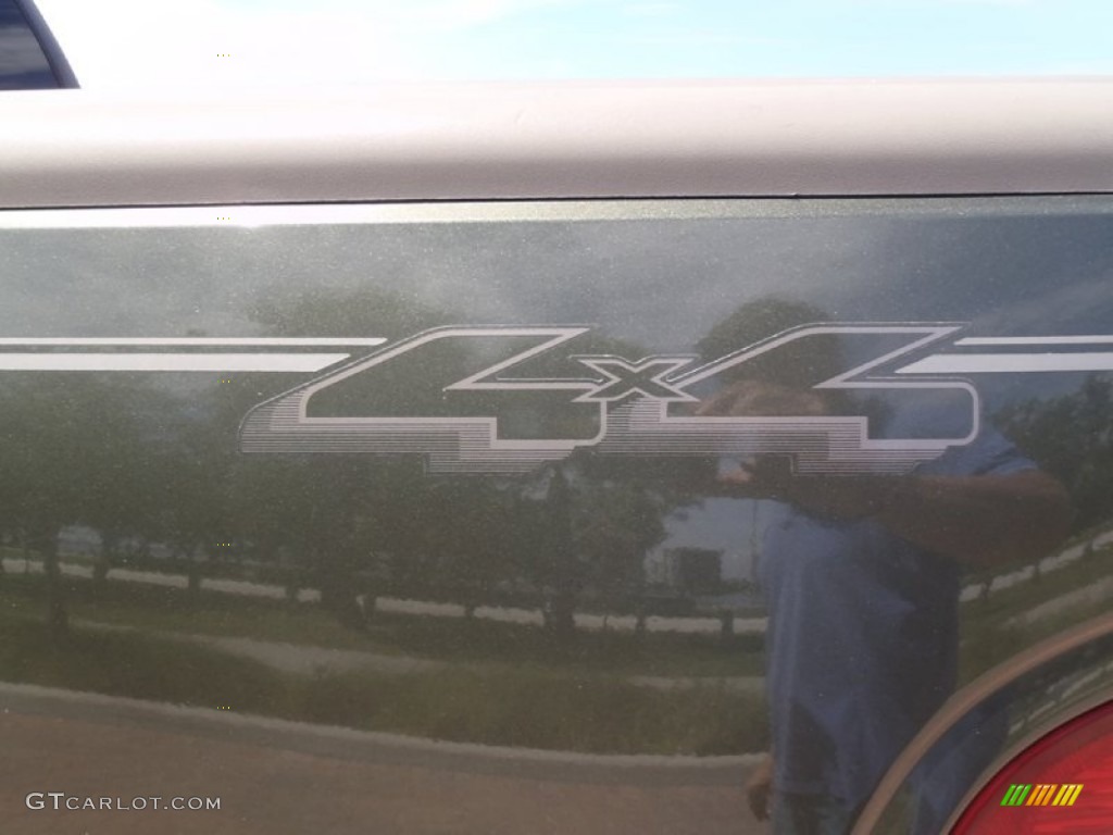2002 F150 King Ranch SuperCrew 4x4 - Estate Green Metallic / Castano Brown Leather photo #50
