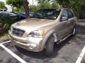 2006 Sand Beige Kia Sorento LX 4x4  photo #4