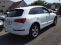 2009 Ibis White Audi Q5 3.2 Premium quattro  photo #5