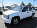 Summit White - TrailBlazer LS 4x4 Photo No. 3