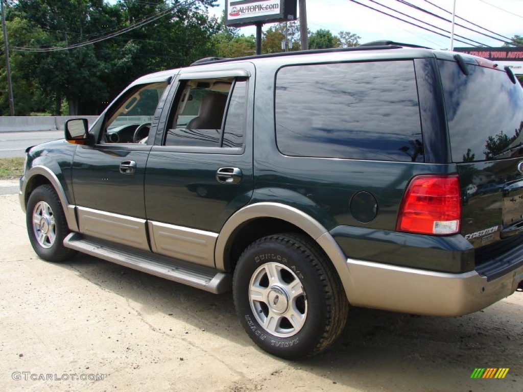 2004 Expedition Eddie Bauer 4x4 - Aspen Green Metallic / Medium Parchment photo #2