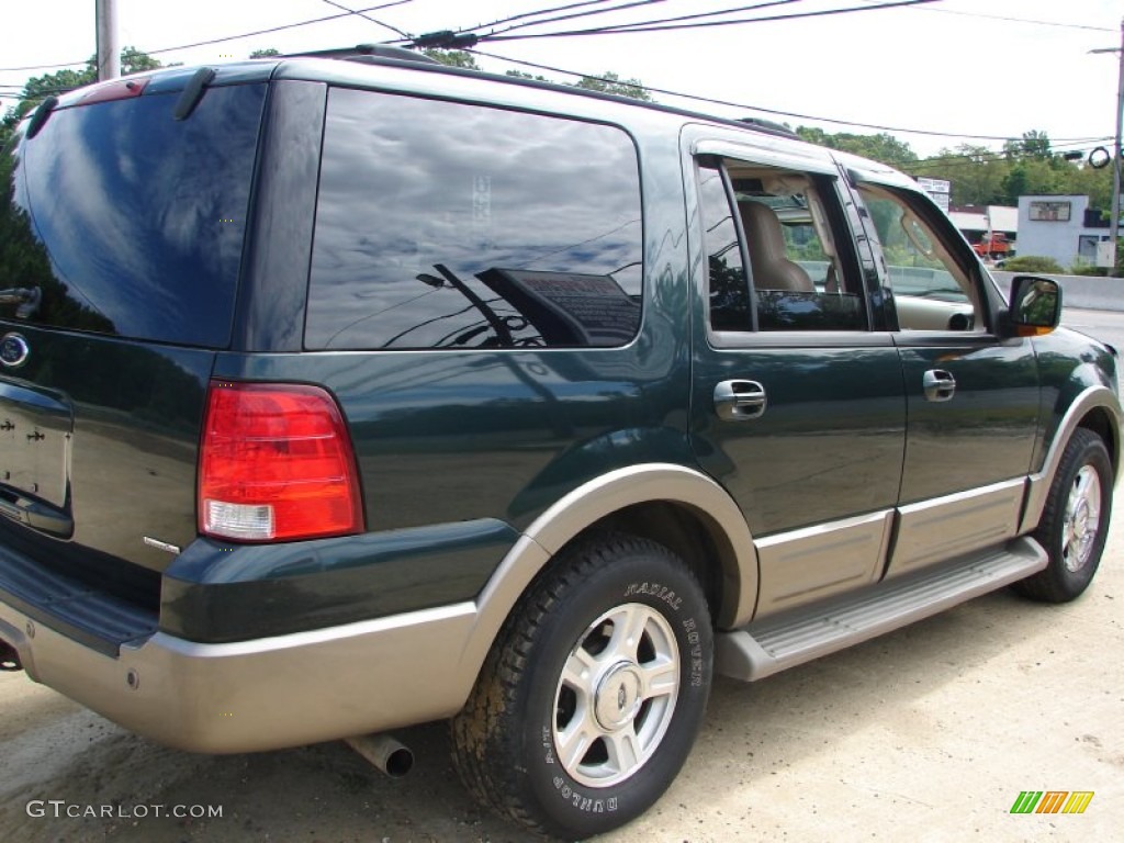 2004 Expedition Eddie Bauer 4x4 - Aspen Green Metallic / Medium Parchment photo #4