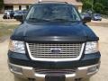 Aspen Green Metallic - Expedition Eddie Bauer 4x4 Photo No. 6