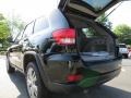 2013 Black Forest Green Pearl Jeep Grand Cherokee Laredo  photo #9