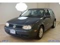 2005 Blue Anthracite Metallic Volkswagen Golf GL TDI 4 Door #68367454