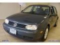 Blue Anthracite Metallic - Golf GL TDI 4 Door Photo No. 2