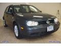 Blue Anthracite Metallic - Golf GL TDI 4 Door Photo No. 4