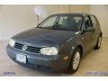 Blue Anthracite Metallic - Golf GL TDI 4 Door Photo No. 5