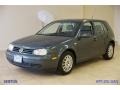 Blue Anthracite Metallic - Golf GL TDI 4 Door Photo No. 6