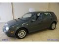 Blue Anthracite Metallic - Golf GL TDI 4 Door Photo No. 8