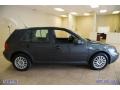 Blue Anthracite Metallic - Golf GL TDI 4 Door Photo No. 12