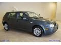 Blue Anthracite Metallic - Golf GL TDI 4 Door Photo No. 13