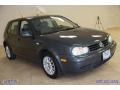 Blue Anthracite Metallic - Golf GL TDI 4 Door Photo No. 14