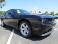 Blackberry Pearl - Challenger SXT Photo No. 4
