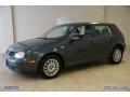 Blue Anthracite Metallic - Golf GL TDI 4 Door Photo No. 51