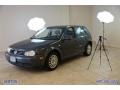 Blue Anthracite Metallic - Golf GL TDI 4 Door Photo No. 64
