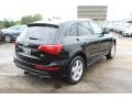 Brilliant Black - Q5 3.2 FSI quattro Photo No. 3