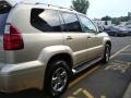 Savannah Beige Metallic - GX 470 Photo No. 8