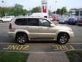 Savannah Beige Metallic - GX 470 Photo No. 9