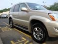Savannah Beige Metallic - GX 470 Photo No. 10