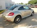 Moonrock Silver Metallic - Beetle 2.5L Photo No. 7