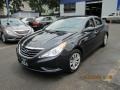 Pacific Blue Pearl - Sonata GLS Photo No. 2