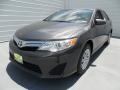 Magnetic Gray Metallic - Camry LE Photo No. 6