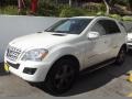 Arctic White - ML 350 4Matic Photo No. 3