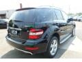 2010 Obsidian Black Metallic Mercedes-Benz ML 350 4Matic  photo #3