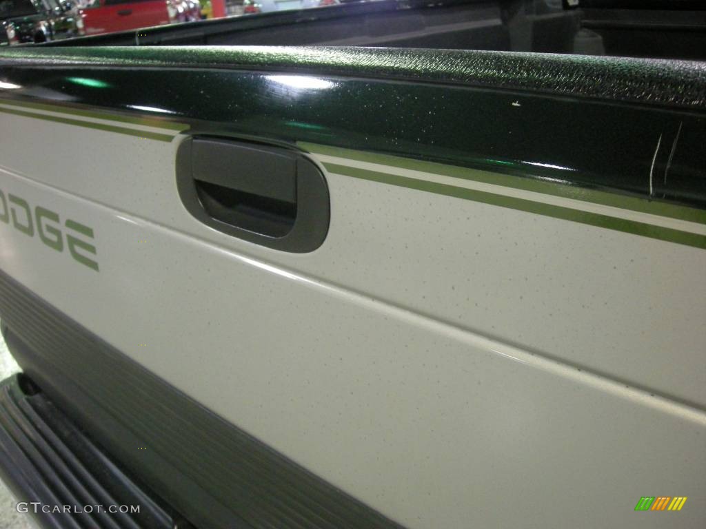 1996 Ram 1500 Laramie Regular Cab - Moss Green Pearl/Bright Silver / Gray photo #14