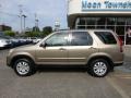 2006 Sahara Sand Metallic Honda CR-V SE 4WD  photo #2