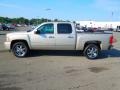 Silver Birch Metallic 2009 Chevrolet Silverado 1500 LTZ Crew Cab Exterior