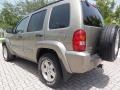 Light Khaki Metallic - Liberty Limited 4x4 Photo No. 3