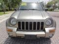 Light Khaki Metallic - Liberty Limited 4x4 Photo No. 7