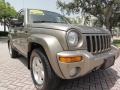 Light Khaki Metallic - Liberty Limited 4x4 Photo No. 12