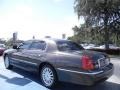 Charcoal Beige Metallic - Town Car Sedan Photo No. 3