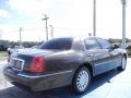 Charcoal Beige Metallic - Town Car Sedan Photo No. 5