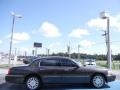 Charcoal Beige Metallic - Town Car Sedan Photo No. 6