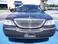 Charcoal Beige Metallic - Town Car Sedan Photo No. 8