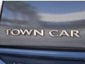 Charcoal Beige Metallic - Town Car Sedan Photo No. 9