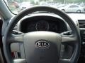 Gray Steering Wheel Photo for 2009 Kia Borrego #68413088