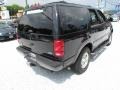 1999 Black Ford Expedition XLT 4x4  photo #5