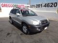 Pewter - Santa Fe GLS Photo No. 1