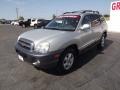Pewter - Santa Fe GLS Photo No. 3