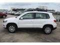 Candy White - Tiguan S Photo No. 4
