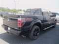 Tuxedo Black Metallic - F150 FX2 SuperCrew Photo No. 5