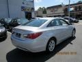 Radiant Silver - Sonata GLS Photo No. 5