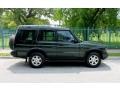 2003 Vienna Green Land Rover Discovery S  photo #6